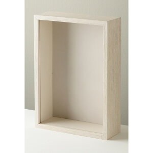 LIFE FRAMING/Be[WfR^zCg@XNGAS/200005y07z ԊA[X ԊEԕr t[t[