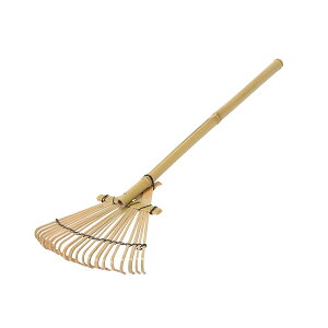 F菬/KD37K545y01z X܃fBXvCEX ~̃fBXvC fBXvC