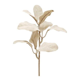 yԁzTZC/PFD-18ZV@#51@`R[/600092y10z ԁiA[eBtBVt[j ԗtAtFCNO[ ̑̑ԗtEtFCNO[