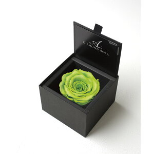 yvU[uhzA[T/_Ch[Y{bNX@85iF}bgubNj@CO[/1201-70y21z vU[uht[ vU[uht[Mtg o1