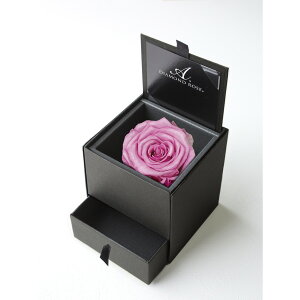 �y�v���U�[�u�h�z�A�����[�T/�_�C�������h���[�Y�{�b�N�X�@90�i���F�}�b�g�u���b�N�j�@�p���X�s���N/1207-22�y21�z �v���U�[�u�h�t�����[ �v���U�[�u�h�t�����[�M�t�g �o��1��