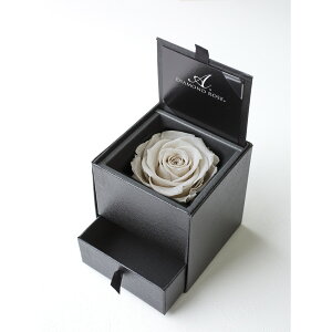 yvU[uhzA[T/_Ch[Y{bNX@90iFG{XubNj@v`izCg/1218-01y21z vU[uht[ vU[uht[Mtg o1