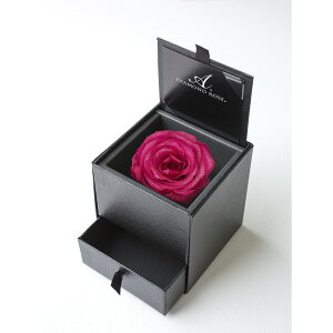 yvU[uhzA[T/_Ch[Y{bNX@90iFG{XubNj@zbgsN/1218-12y21z vU[uht[ vU[uht[Mtg o1