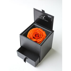 yvU[uhzA[T/_Ch[Y{bNX@90iFG{XubNj@uCgIW/1218-43y21z vU[uht[ vU[uht[Mtg o1