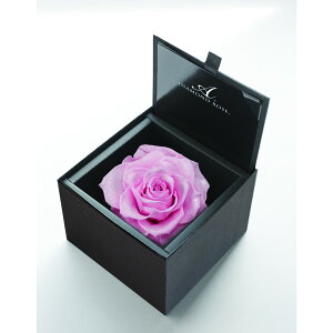 yvU[uhzA[T/_Ch[Y{bNX@105iF}bgubNj@tF~jsN/1204-11y21z vU[uht[ vU[uht[Mtg o1