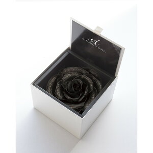 yvU[uhzA[T/_Ch[Y{bNX@105iFzCgj@U[ubN/1206-00y21z vU[uht[ vU[uht[Mtg o1