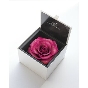 yvU[uhzA[T/_Ch[Y{bNX@105iFzCgj@zbgsN/1206-12y21z vU[uht[ vU[uht[Mtg o1