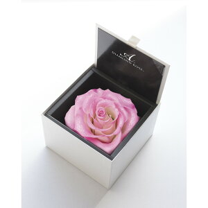 �y�v���U�[�u�h�z�A�����[�T/�_�C�������h���[�Y�{�b�N�X�@105�i���F�z���C�g�j�@�p���X�s���N/1206-22�y21�z �v���U�[�u�h�t�����[ �v���U�[�u�h�t�����[�M�t�g �o��1��