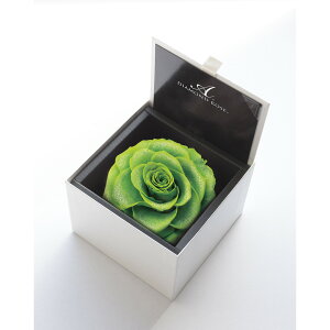 yvU[uhzA[T/_Ch[Y{bNX@105iFzCgj@CO[/1206-70y21z vU[uht[ vU[uht[Mtg o1