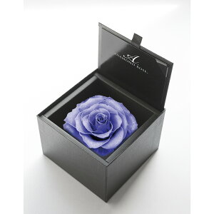 yvU[uhzA[T/_Ch[Y{bNX@105iFG{XubNj@/1217-50y21z vU[uht[ vU[uht[Mtg o1