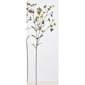 yԁzAXJ/~jt[×34@#051D _[NO[/A-33499-51Dy01z ԁiA[eBtBVt[j  ԍށu܍sv ̑u܍svԉԍ