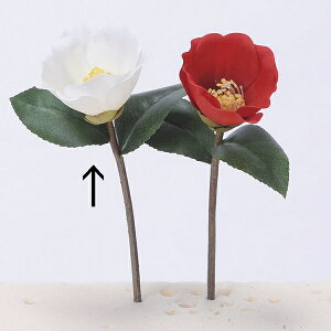 yԁzAXJ/փsbN@#001 zCg/A-73298-1y01z ԁiA[eBtBVt[j  ԍށusv coLiցj