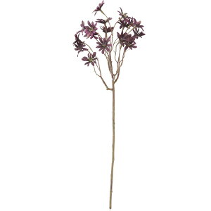 yԁzYDM/hCf[W[Xv[/FA-7112PUy01z ԁiA[eBtBVt[j  ԍށusv f[W[