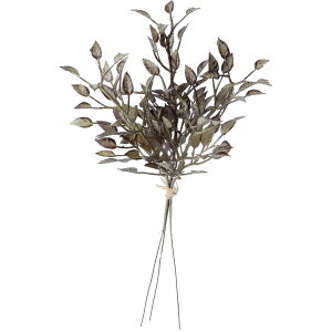 yԁzYDM/hCh{bNXEbhoh/FB-2498BGRy01z ԁiA[eBtBVt[j ԗt {bNXEbh