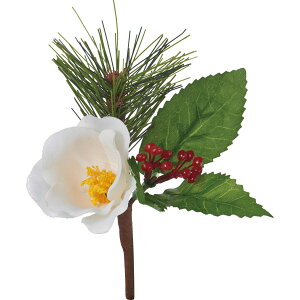 yԁzYDM/coL~bNXsbN/FS-5301Wy01z ԁiA[eBtBVt[j  ԍށusv coLiցj