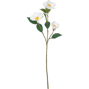 yԁzYDM/coLXv[/FS-5321Wy01z ԁiA[eBtBVt[j  ԍށusv coLiցj