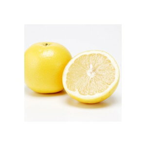 kinari/YA}IC O[vt[c 30ml /armj014-30mly01z Lhޗ Lh