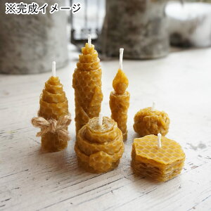 kinari/XV[g Lh Zbg/bs-bcy01z Lhޗ Lbg