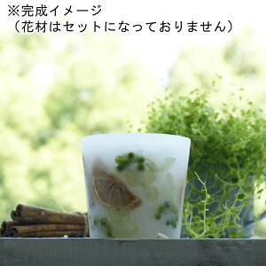 kinari/{^jJLhLbg/bs-04@Ԃ͏iɊ܂܂܂y01z Lhޗ Lbg