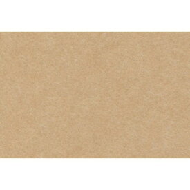 東京リボン/プライスカードM （100枚） 11 コルク/82211-11【01】【取寄】 ラッピング用品 、梱包資材 メッセージカード グリーティングカード