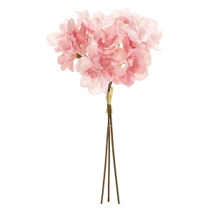 yԁzMAGIQ/RsbN 2 PINK sN/FM008648-002y01z ԁiA[eBtBVt[j  ԍށusv ij