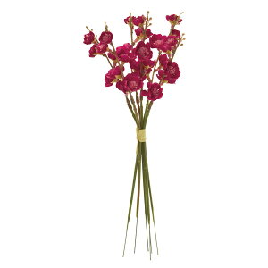 yԁzMAGIQ/aԃsbN 16 r[eB/FM007313-016y01z ԁiA[eBtBVt[j  ԍށu܍sv ij