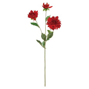 �y���ԁzMAGIQ������/�p���X�_���A ��3 RED ���b�h/FM001286-003�y01�z ���ԁi�A�[�e�B�t�B�V�����t�����[�j ���� �ԍށu���s�v �_���A