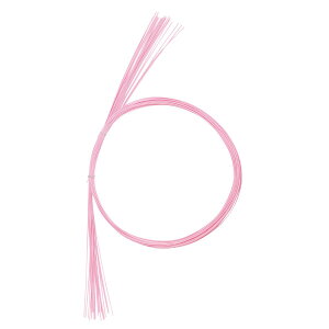 /Ԑ 20{ NoD061  /MH000070-061y01z ԎށEt[Xg fR[Vp[cEf 