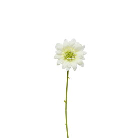 パレ/ガーベラ クリ－ム/P-8513-10【01】【取寄】[72本] 造花（アーティフィシャルフラワー） 造花 花材「か行」 ガーベラ