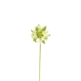 パレ/ガーベラ ライトグリ－ン/P-8513-60【01】【取寄】[72本] 造花（アーティフィシャルフラワー） 造花 花材「か行」 ガーベラ