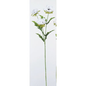 yԁzAXJ/All×3 001 zCg/A-33724-001y01z ԁiA[eBtBVt[j  ԍށusv All