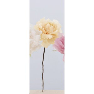 yԁzAXJ/sIj[sbN 030B CgIW/A-33637-030By01z ԁiA[eBtBVt[j  ԍށusv VNNi䉖jE{^iOjEsIj[