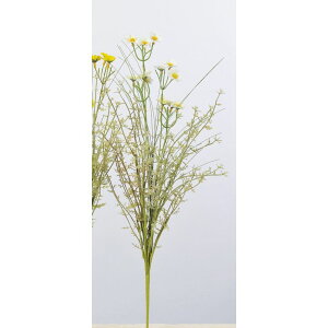 yԁzAXJ/~jt[ubV 011 N[zCg/A-33584-011y01z ԁiA[eBtBVt[j  ԍށu͍sv ̑u͍svԉԍ