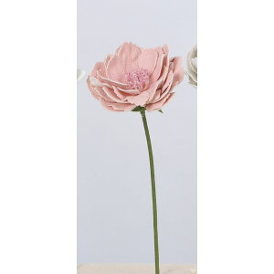 yԁzAXJ/sIj[sbN 003P pXesN/A-39663-003Py01z ԁiA[eBtBVt[j  ԍށusv VNNi䉖jE{^iOjEsIj[