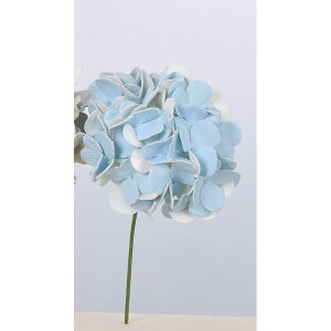 yԁzAXJ/nChWAsbN 019 Cgu[/A-39665-019y01z ԁiA[eBtBVt[j  ԍށusv izԁj