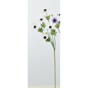 yԁzAXJ/All×5 ڂ×2 001 zCg/A-33253-001y01z ԁiA[eBtBVt[j  ԍށusv All