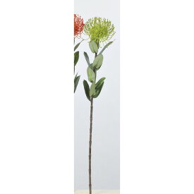 楽天市場 ピンクッション 花 ガーデン Diy の通販