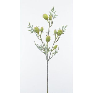 yԁzAXJ/AU~×8 051F tXgO[/A-33577-051Fy01z ԁiA[eBtBVt[j  ԍށusv GW[