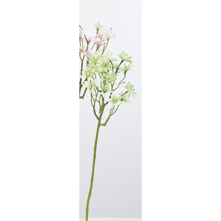 楽天市場 造花 アスカ アスター 18 051a グリーン A 051a 01 取寄 造花 アーティフィシャルフラワー 造花 花材 あ行 アスター 手作り 材料 花材通販はなどんやアソシエ 楽天市場 造花 アスカ アスター 18 051a グリーン A 051a 01 取寄 造花 アーティフィシャルフラワー 造花 花材 あ行 アスター 手作り 材料 花材通販はなどんやアソシエ