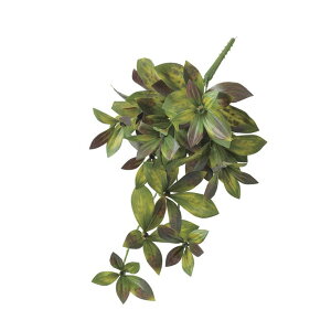 yԁzAXJ/sIj[[tnMOubV o[KfBO[/A-43222-015Gy01z ԁiA[eBtBVt[j  ԍށusv VNNi䉖jE{^iOjE