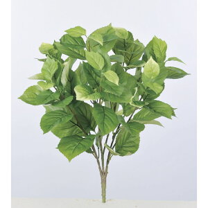 yԁzAXJ/nChWA[tubV 052B CgO[/A-43069-052By01z ԁiA[eBtBVt[j  ԍށusv izԁj