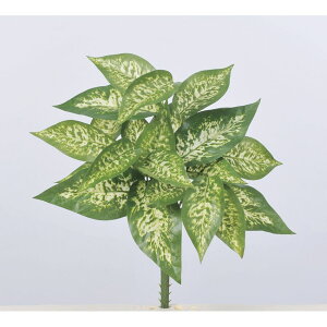 yԁzAXJ/fBtoLAubV 051V @QCgO[/A-43167-051Vy01z ԁiA[eBtBVt[j ԗt fBtFoLA