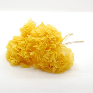 yvU[uhzRAg[fBO/AWTC 5{ CG[/18634y10z[10] vU[uht[ vU[uht[ԍ izԁj