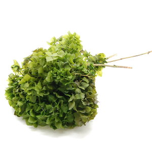 yvU[uhzRAg[fBO/AWTC 5{ AbvO[/18637y10z[10] vU[uht[ vU[uht[ԍ izԁj