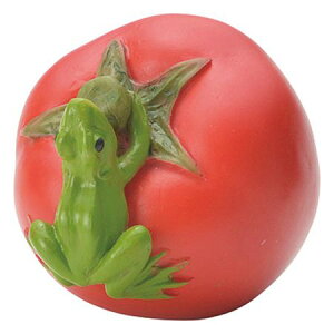 zr[/JGƃg}g/GM-3838y01z[4] K[fjOE|pi K[fjOG݁EI[ig ~j`A