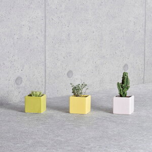 zr[/XNGA[J[|bg O[/SP-1253y01z[12] ԊA[X ԊEԕr Ԋ