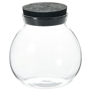 Paseo/RNr/48-02BKy01z[3] ԊA[X ԊEԕr h[AKXh[