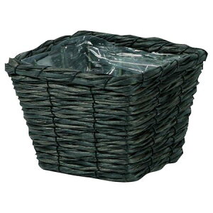 勴VX/RloXPbgXNGAD3/24-742y01z[10] ԊA[X ԂEt[oXPbg tFCNfރoXPbg