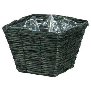 勴VX/RloXPbgXNGAD3.5/24-743y01z[10] ԊA[X ԂEt[oXPbg tFCNfރoXPbg