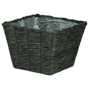 勴VX/RloXPbgXNGAD6/24-746y01z ԊA[X ԂEt[oXPbg tFCNfރoXPbg